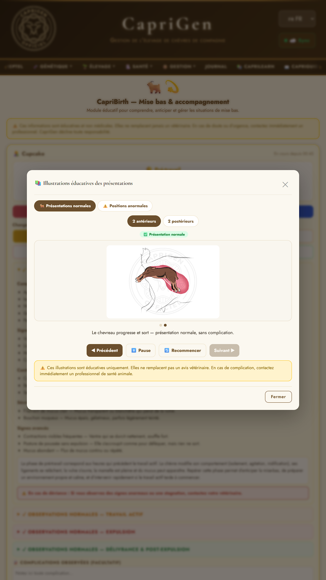 CapriBirth — Illustrations éducatives