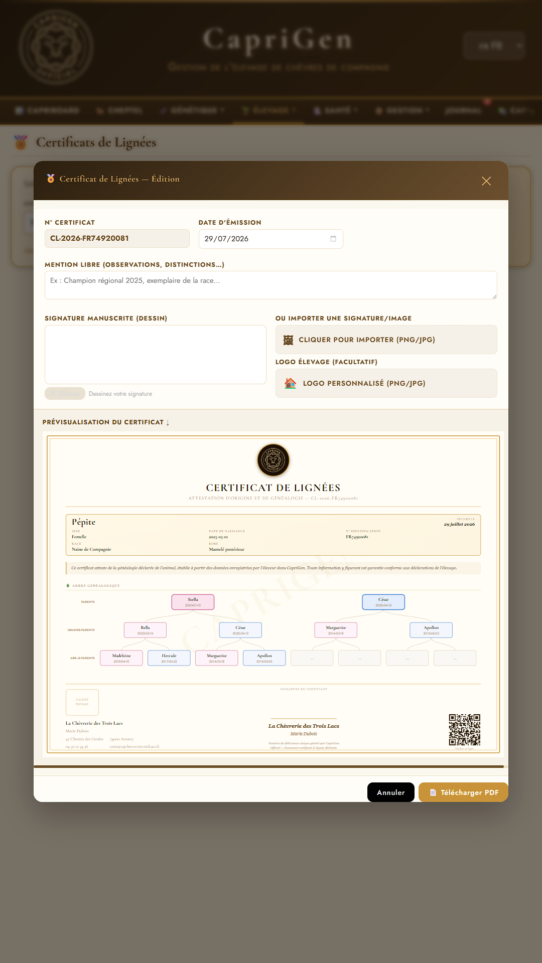 Certificat de Lignées